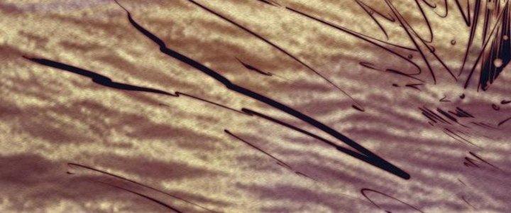 Trường Sinh Đạo Chapter 83 - Next Chapter 84