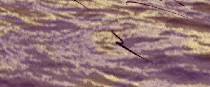 Trường Sinh Đạo Chapter 83 - Next Chapter 84