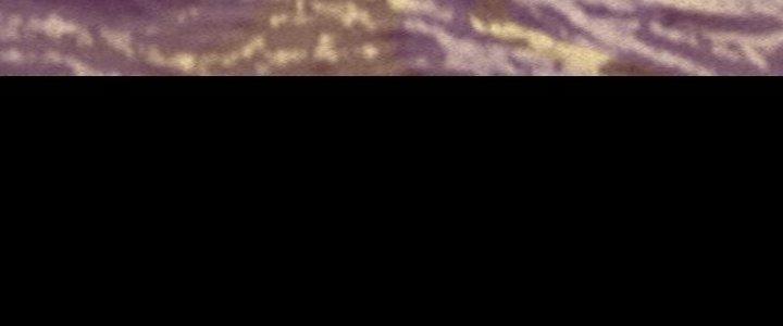 Trường Sinh Đạo Chapter 83 - Next Chapter 84