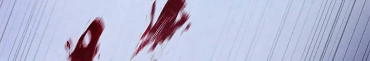 Anh Em Của Tôi Đều Là Nhân Vật Chính Chapter 1 - Trang 2