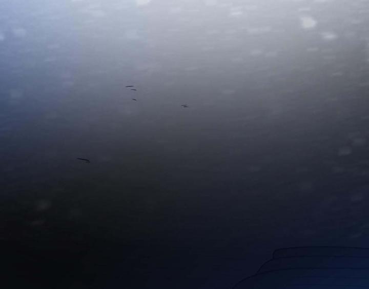 Ta Đến Từ Thời Không Chapter 1 - Next Chapter 2