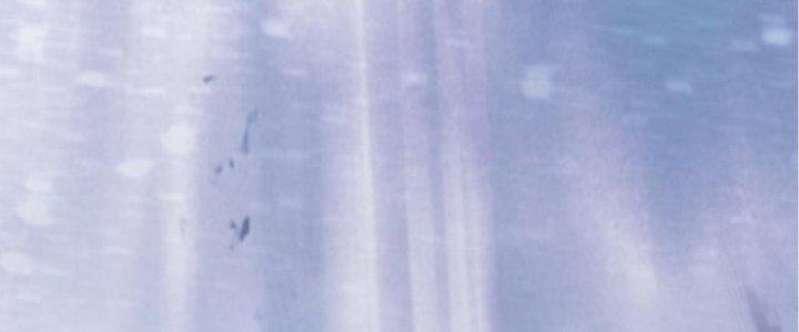 Ta Đến Từ Thời Không Chapter 2 - Trang 2