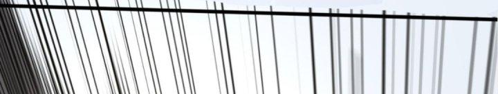 Ta Đến Từ Thời Không Chapter 4 - Trang 2