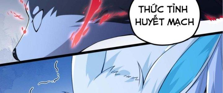 Ta Đến Từ Thời Không Chapter 5 - Next Chapter 6