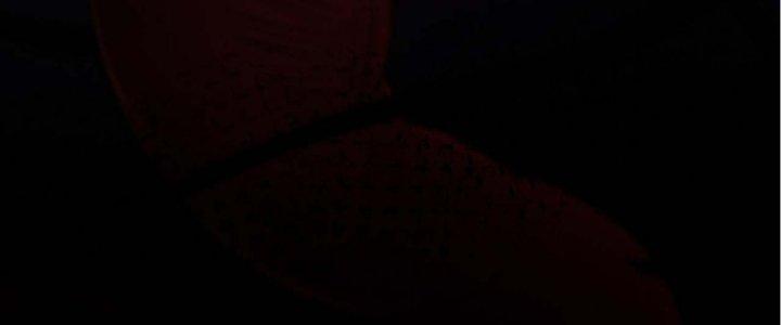 Ta Đến Từ Thời Không Chapter 10 - Next Chapter 11