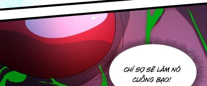 Ta Đến Từ Thời Không Chapter 12 - Next Chapter 13