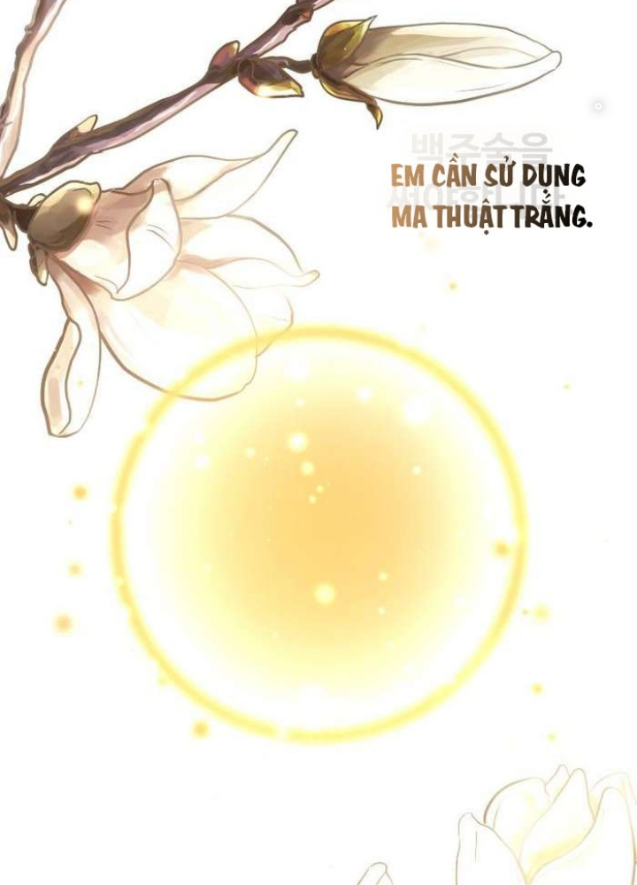 Thần Thoại Mất Tích Và Thiên Tài Pháp Thuật Chapter 31 - Trang 2