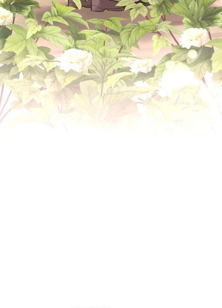 Thần Thoại Mất Tích Và Thiên Tài Pháp Thuật Chapter 35 - Trang 2