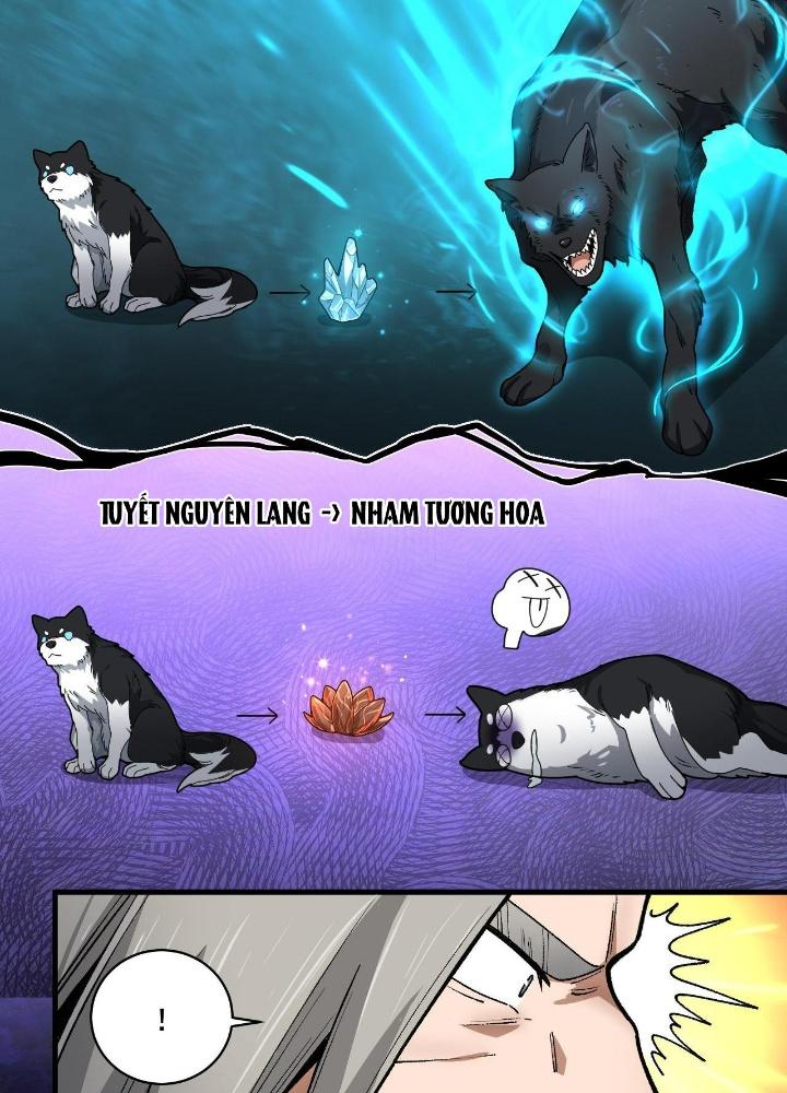 Ta Đến Từ Thời Không Chapter 25 - Next Chapter 26