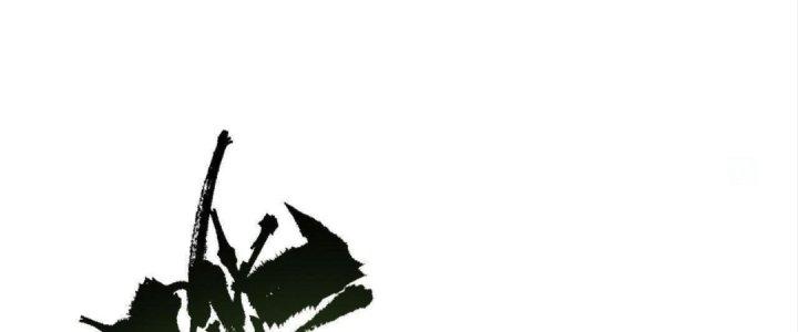 Ta Đến Từ Thời Không Chapter 33 - Next Chapter 34