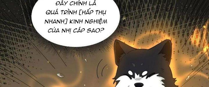 Ta Đến Từ Thời Không Chapter 40 - Trang 2