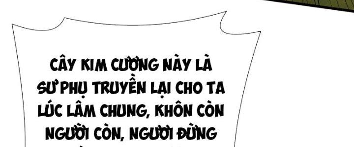 Thiên Tôn Trở Về Chapter 11 - Trang 2