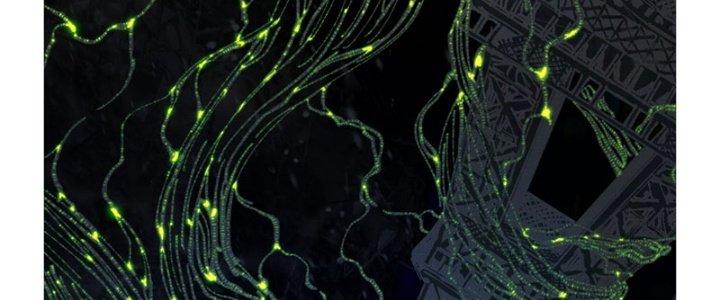 Trùng Sinh Thành Chó, Ta Thành Yêu Tôn Một Phương Chapter 1 - Trang 2