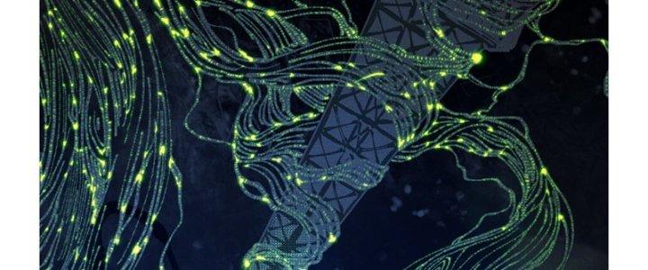 Trùng Sinh Thành Chó, Ta Thành Yêu Tôn Một Phương Chapter 1 - Trang 2