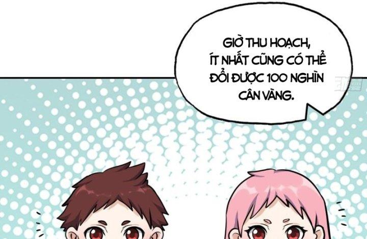 Tôi Chuyển Vàng Tại Mạt Thế Chapter 465 - Trang 4