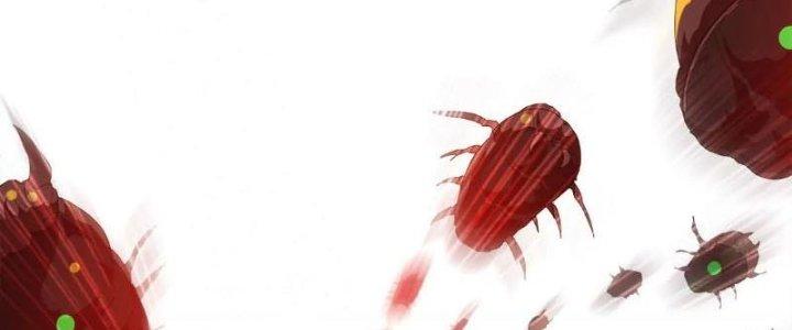 Quái Thú Hạch Tâm Chapter 11 - Trang 2