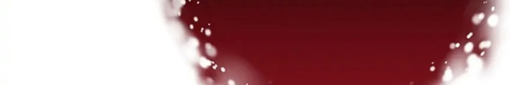 Anh Em Của Tôi Đều Là Nhân Vật Chính Chapter 13 - Trang 2