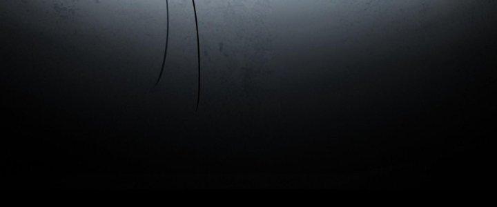 Hắc Dạ Trùng Sinh Chapter 1 - Next Chapter 2