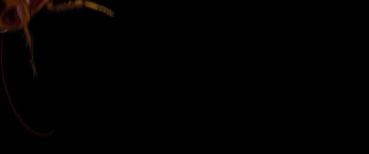 Hắc Dạ Trùng Sinh Chapter 1 - Next Chapter 2