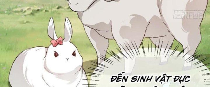 Tiên Nhân Này Quá Nghiêm Túc Chapter 51 - Trang 3