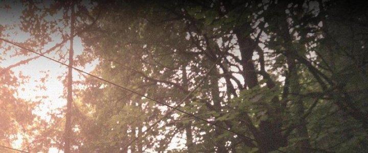 Trải Nghiệm Trở Thành Huyết Tộc Chapter 44 - Trang 3