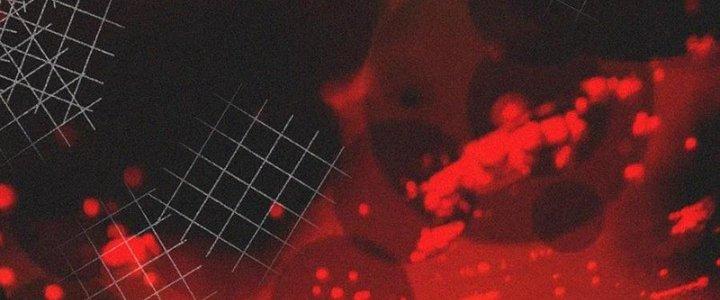 Trải Nghiệm Trở Thành Huyết Tộc Chapter 44 - Trang 3