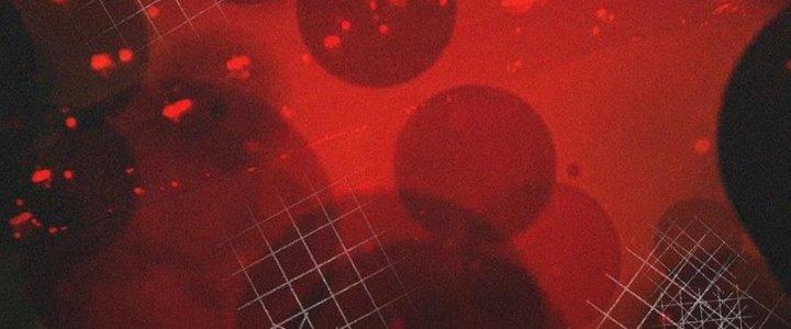 Trải Nghiệm Trở Thành Huyết Tộc Chapter 44 - Trang 3