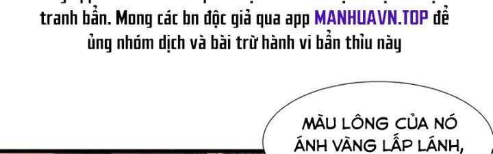 Trải Nghiệm Trở Thành Huyết Tộc Chapter 46 - Trang 3