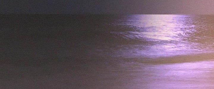 Trải Nghiệm Trở Thành Huyết Tộc Chapter 46 - Trang 3