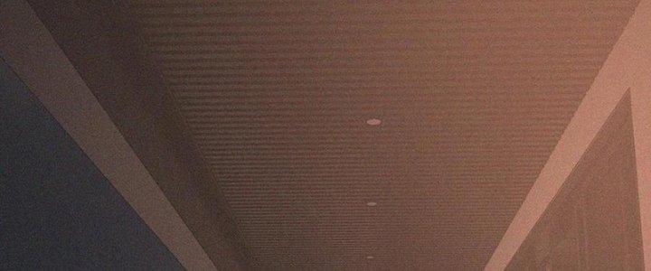 Trải Nghiệm Trở Thành Huyết Tộc Chapter 46 - Trang 3