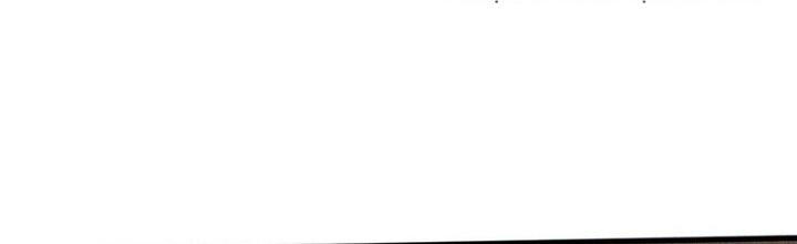 Trải Nghiệm Trở Thành Huyết Tộc Chapter 46 - Trang 3