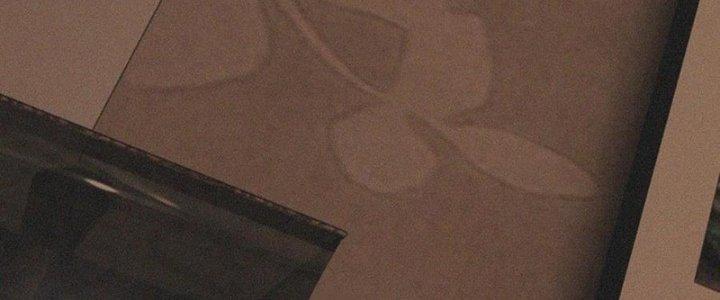 Trải Nghiệm Trở Thành Huyết Tộc Chapter 46 - Trang 3