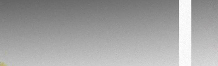 Trải Nghiệm Trở Thành Huyết Tộc Chapter 49 - Trang 3