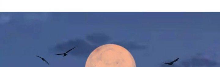 Quái Thú Hạch Tâm Chapter 12 - Trang 2