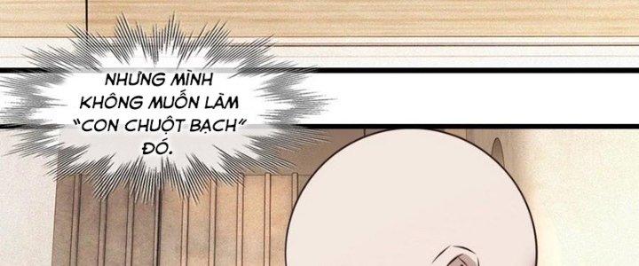 Trải Nghiệm Trở Thành Huyết Tộc Chapter 52 - Trang 2