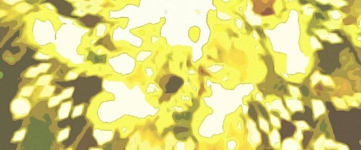 Đại Ma Đạo Sư Không Biết Ngâm Xướng Chapter 2 - Trang 2