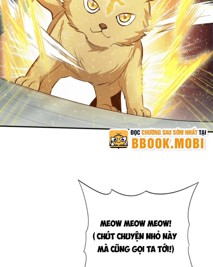 Dị Thú Của Ta Chỉ Có Trăm Triệu Điểm Cao Chapter 28 - Trang 2