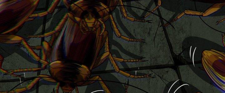 Hắc Dạ Trùng Sinh Chapter 3 - Next Chapter 4