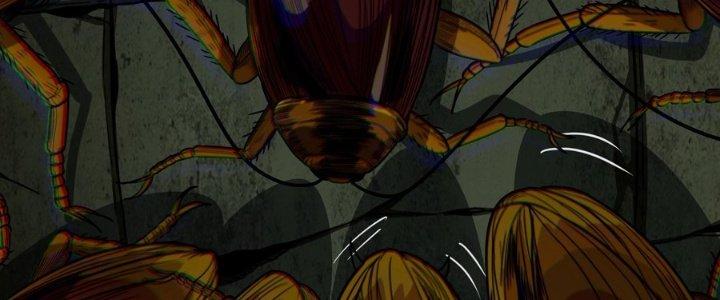 Hắc Dạ Trùng Sinh Chapter 3 - Next Chapter 4