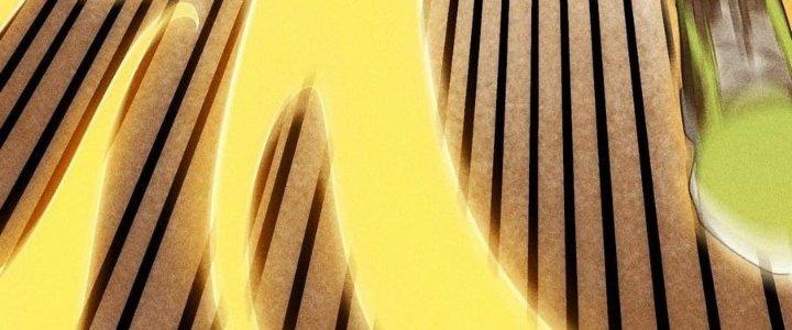 Linh Khí Bạo Phát, Ta Vô Tình Thức Tỉnh Thành Thần Chapter 19 - Trang 2