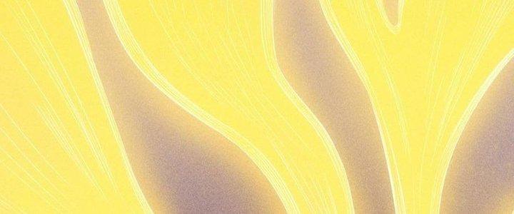 Linh Khí Bạo Phát, Ta Vô Tình Thức Tỉnh Thành Thần Chapter 19 - Trang 2