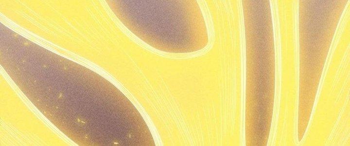 Linh Khí Bạo Phát, Ta Vô Tình Thức Tỉnh Thành Thần Chapter 19 - Trang 2