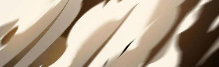 Cực Đại Khoa Trương Chapter 16 - Trang 2