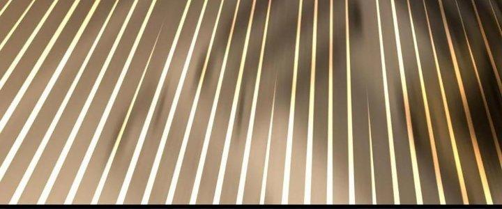 Cực Đại Khoa Trương Chapter 16 - Trang 2