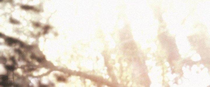 Trải Nghiệm Trở Thành Huyết Tộc Chapter 57 - Trang 2