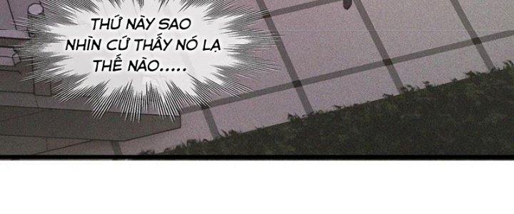 Trải Nghiệm Trở Thành Huyết Tộc Chapter 57 - Trang 2