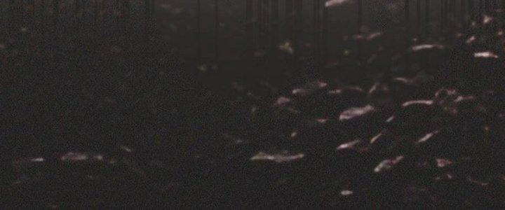 Trải Nghiệm Trở Thành Huyết Tộc Chapter 59 - Trang 3