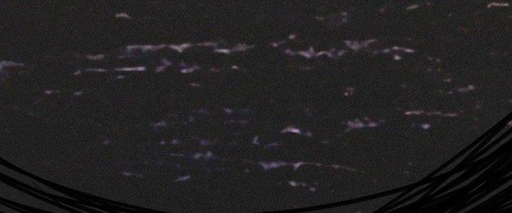 Trải Nghiệm Trở Thành Huyết Tộc Chapter 59 - Trang 3