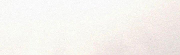 Trải Nghiệm Trở Thành Huyết Tộc Chapter 59 - Trang 3