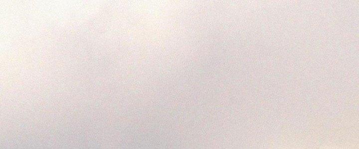 Trải Nghiệm Trở Thành Huyết Tộc Chapter 59 - Trang 3